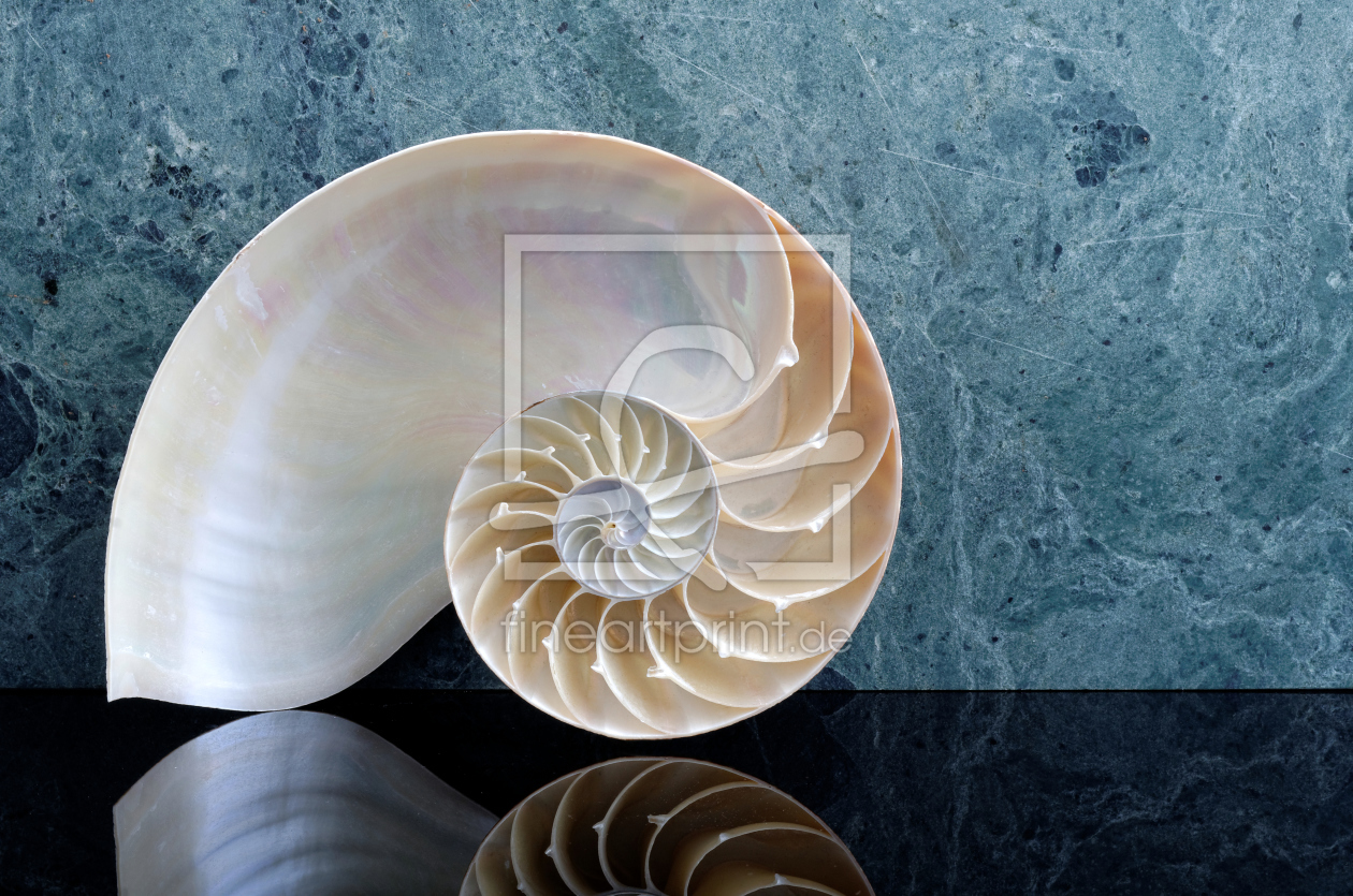 Bild-Nr.: 11082405 Nautilus erstellt von Rolf Eschbach