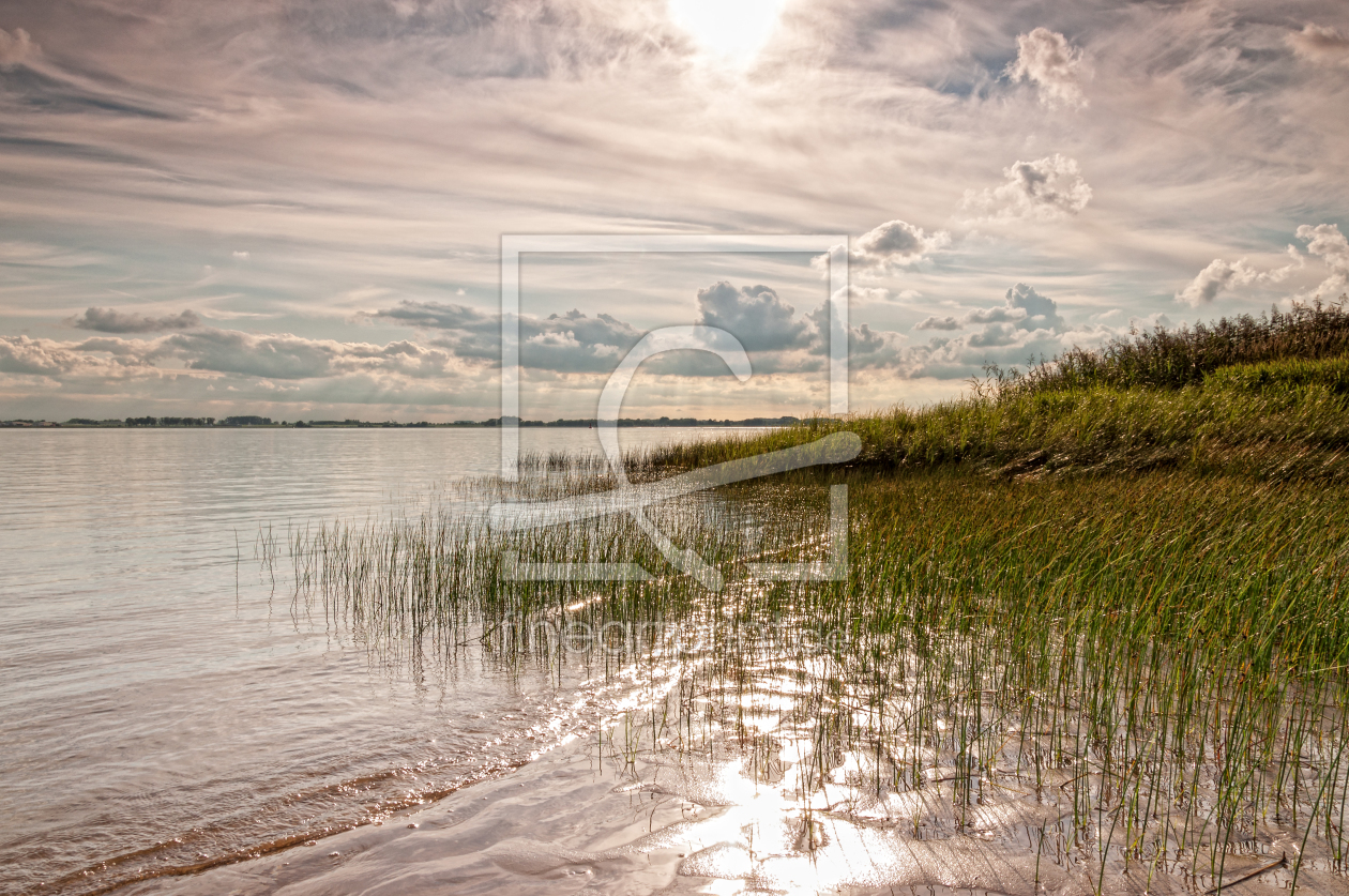 Bild-Nr.: 11089713 Sommerlich t an der Elbe erstellt von Nordbilder