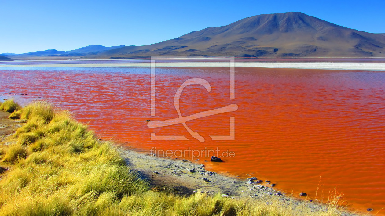 Bild-Nr.: 11089931 Laguna Colorada erstellt von Galactico89