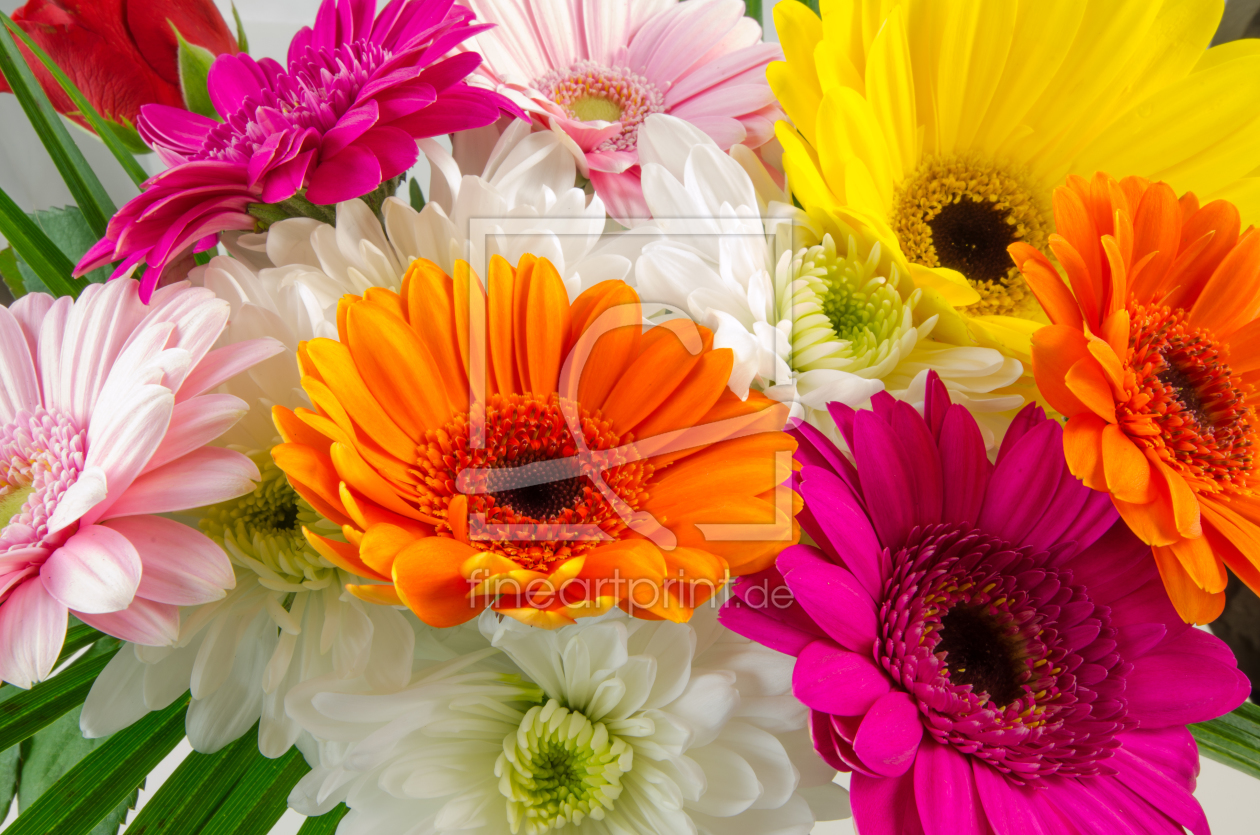 Bild-Nr.: 11090447 Blüten erstellt von midie