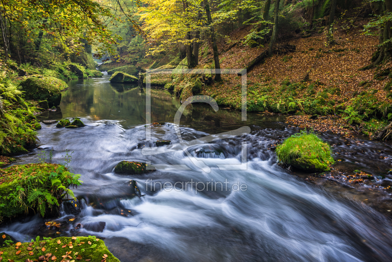 Bild-Nr.: 11092999 Herbstbach erstellt von Andreas Andreas Wonisch