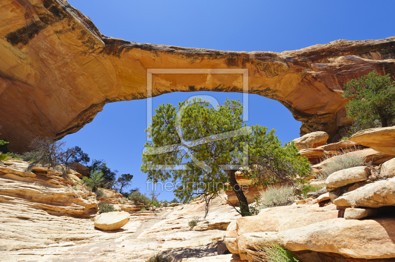 Bild-Nr.: 11093389 Growing below the arch erstellt von DenisFeiner