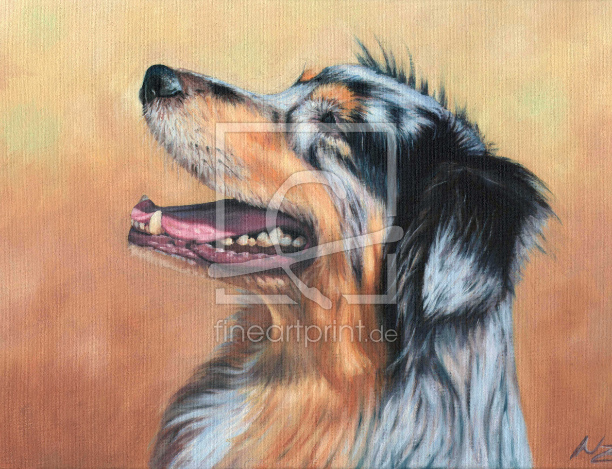 Bild-Nr.: 11094141 Australian Shepherd Dog erstellt von NicoleZeug