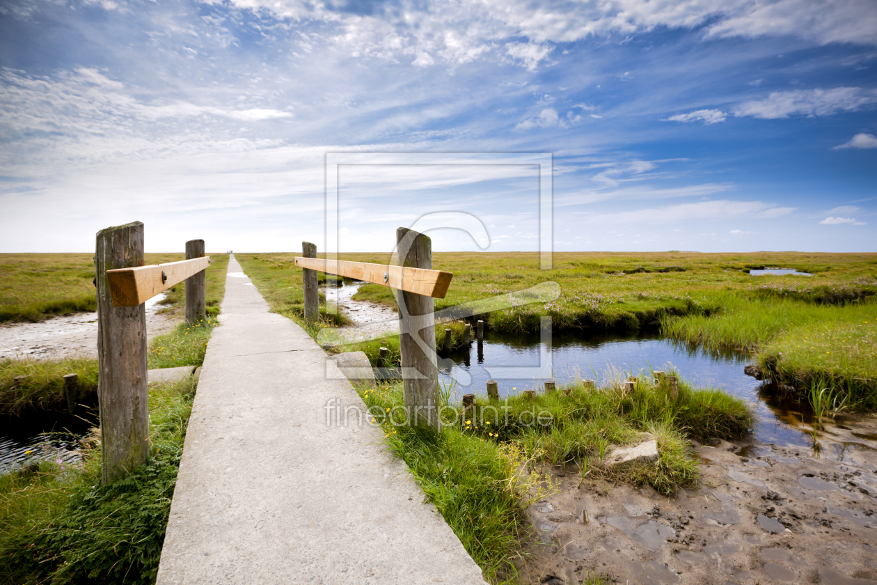 Bild-Nr.: 11095247 Salzwiesen in Sankt Peter-Ording erstellt von hoch2wo