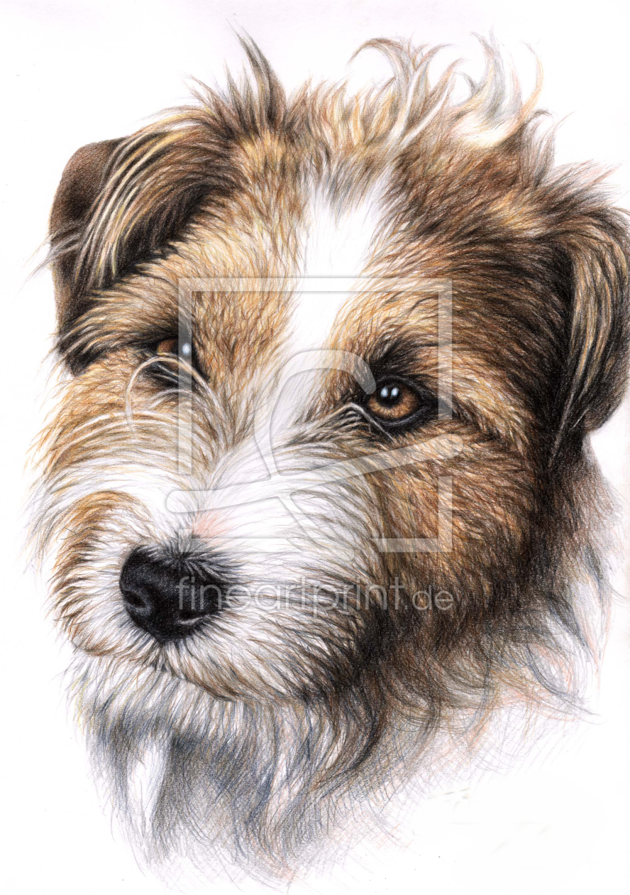 Bild-Nr.: 11096221 Jack Russell Terrier Portrait erstellt von NicoleZeug