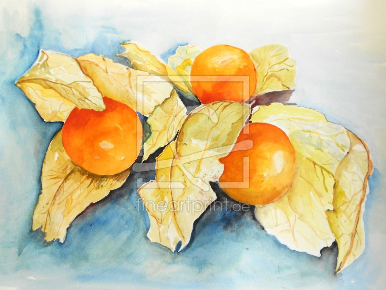 Bild-Nr.: 11097689 Physalis erstellt von Maria  Földy