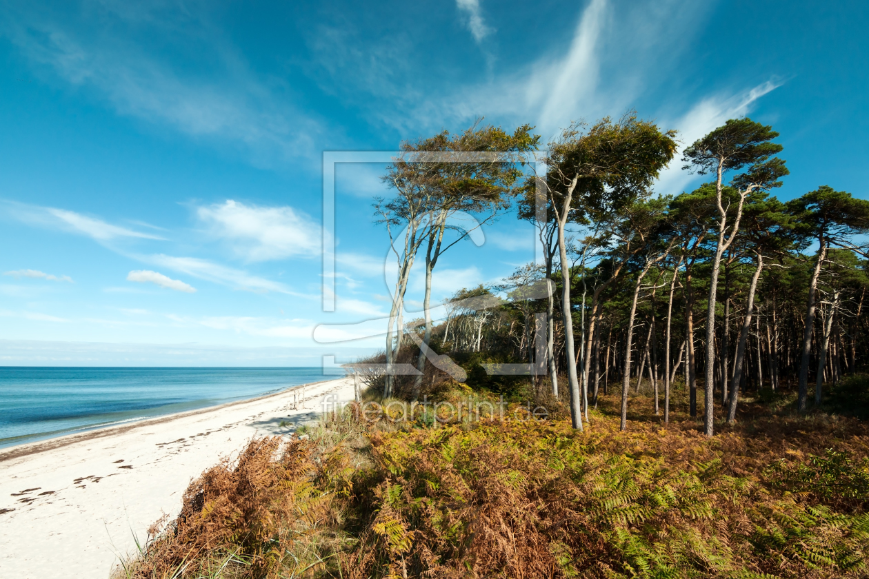 Bild-Nr.: 11098279 Ostseeküste - Weststrand am Darß erstellt von Reiner Würz