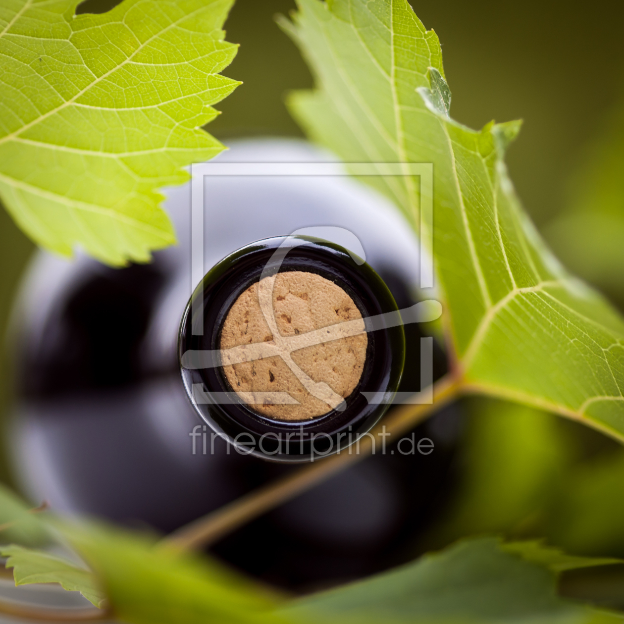 Bild-Nr.: 11099719 Vino erstellt von aliasemma