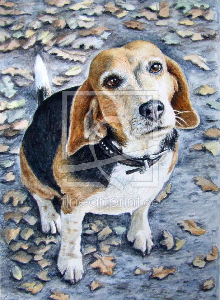 Bild-Nr.: 11101359 Beagle im Herbst erstellt von NicoleZeug