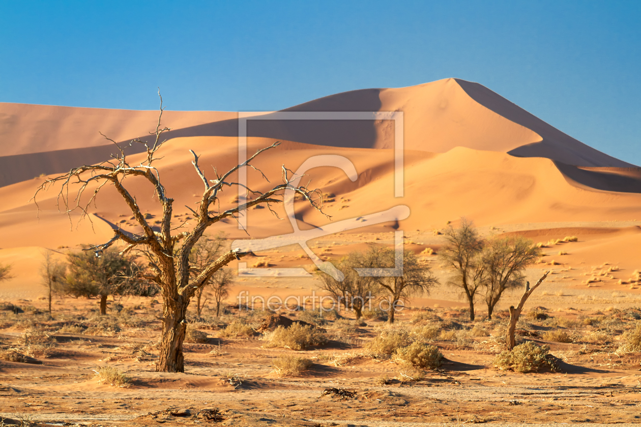 Bild-Nr.: 11116969 Wüste Namib erstellt von Gerlinde Klust