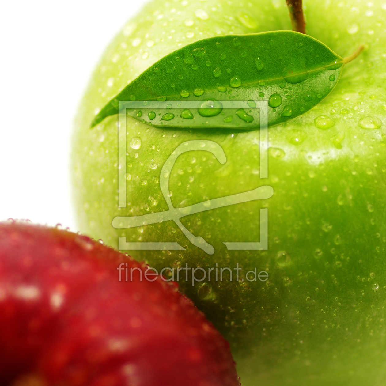Bild-Nr.: 11118662 Frische Äpfel im Kontrast erstellt von Tanja Riedel