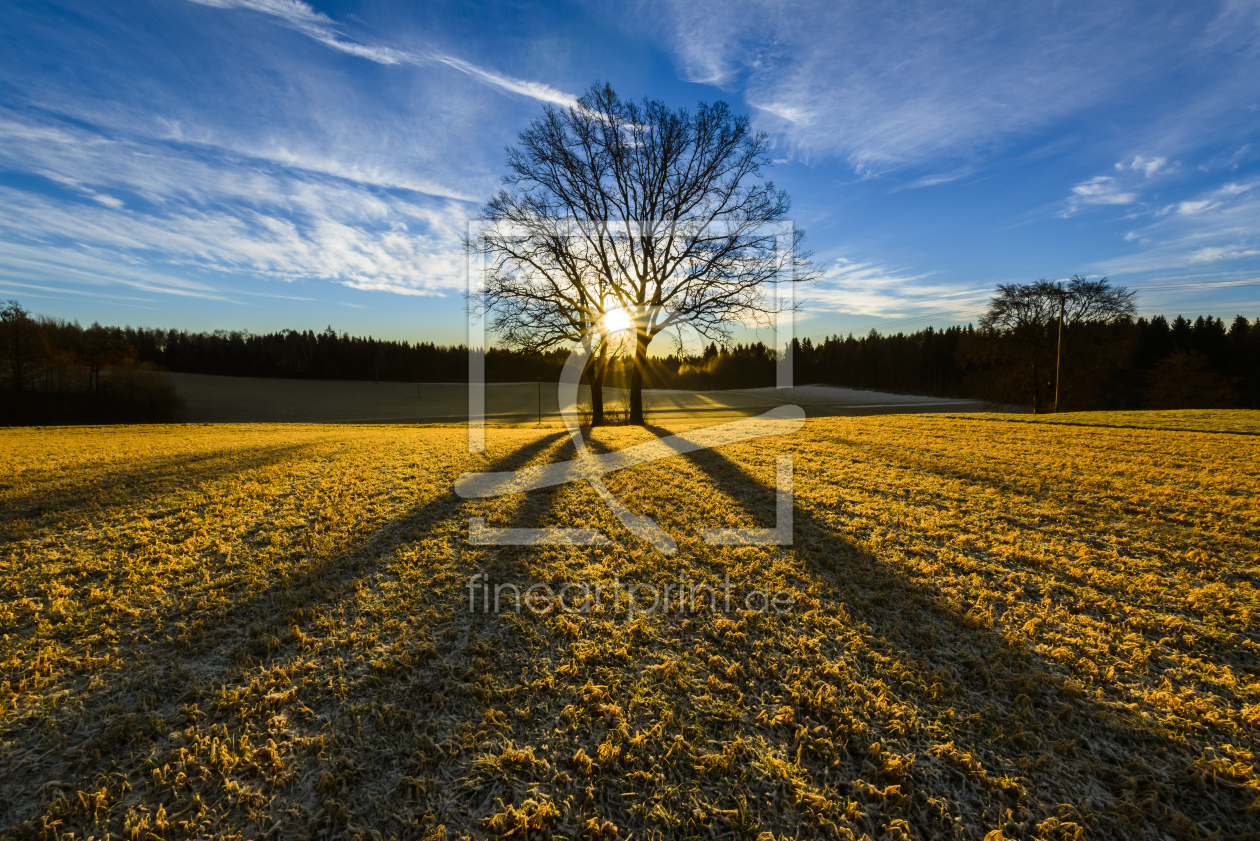 Bild-Nr.: 11128704 Early morning sun erstellt von DenisFeiner