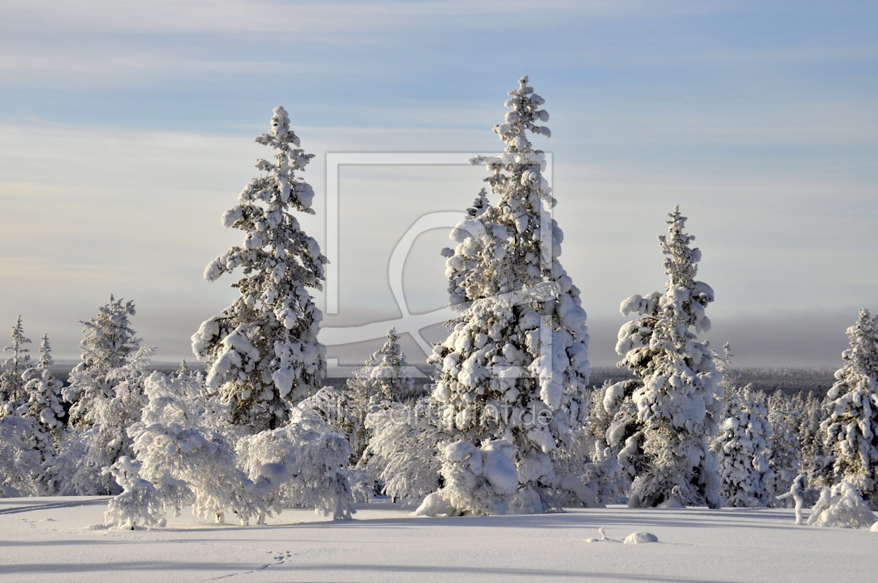 Bild-Nr.: 11131554 Winter in Finnland erstellt von GUGIGEI