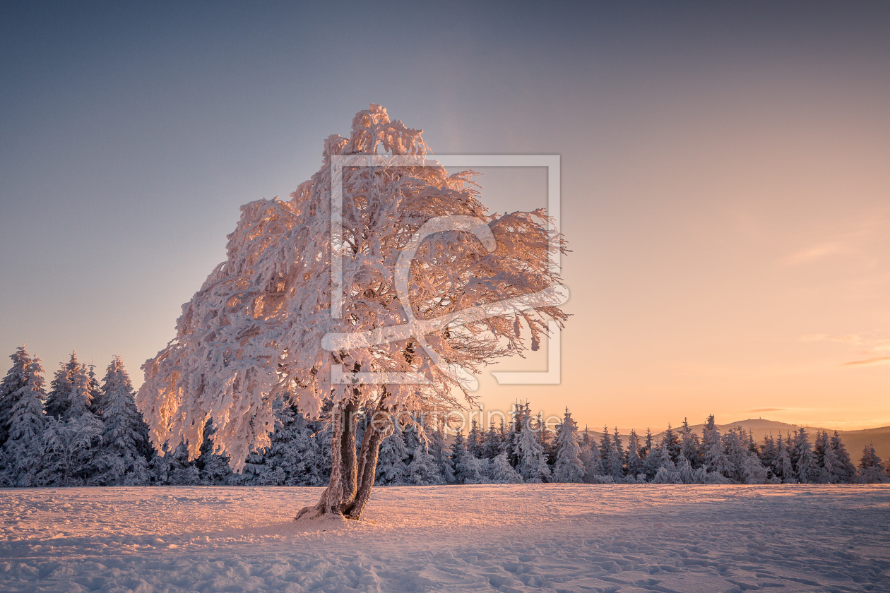 Bild-Nr.: 11134352 Winterlicht erstellt von Andreas Andreas Wonisch