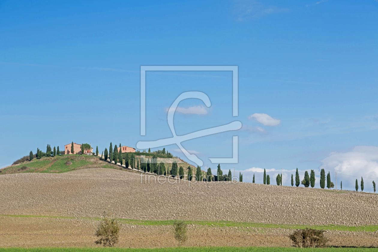 Bild-Nr.: 11138736 In der Crete Senesi erstellt von EderHans