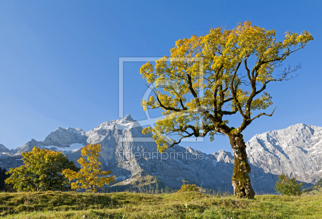 Bild-Nr.: 11139552 Herbst am Großen Ahornboden erstellt von EderHans