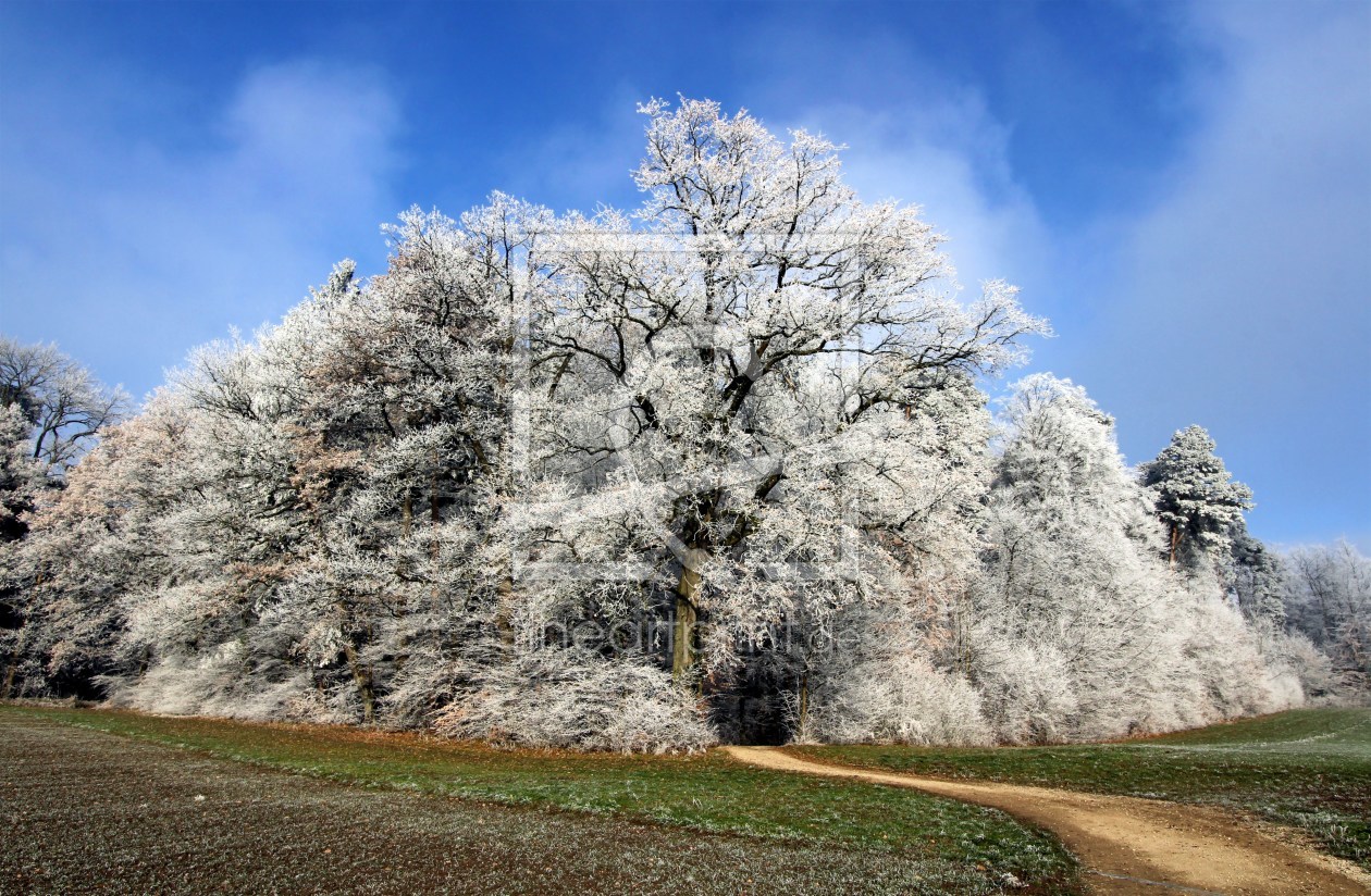 Bild-Nr.: 11140176 Winterzauber erstellt von brunosch