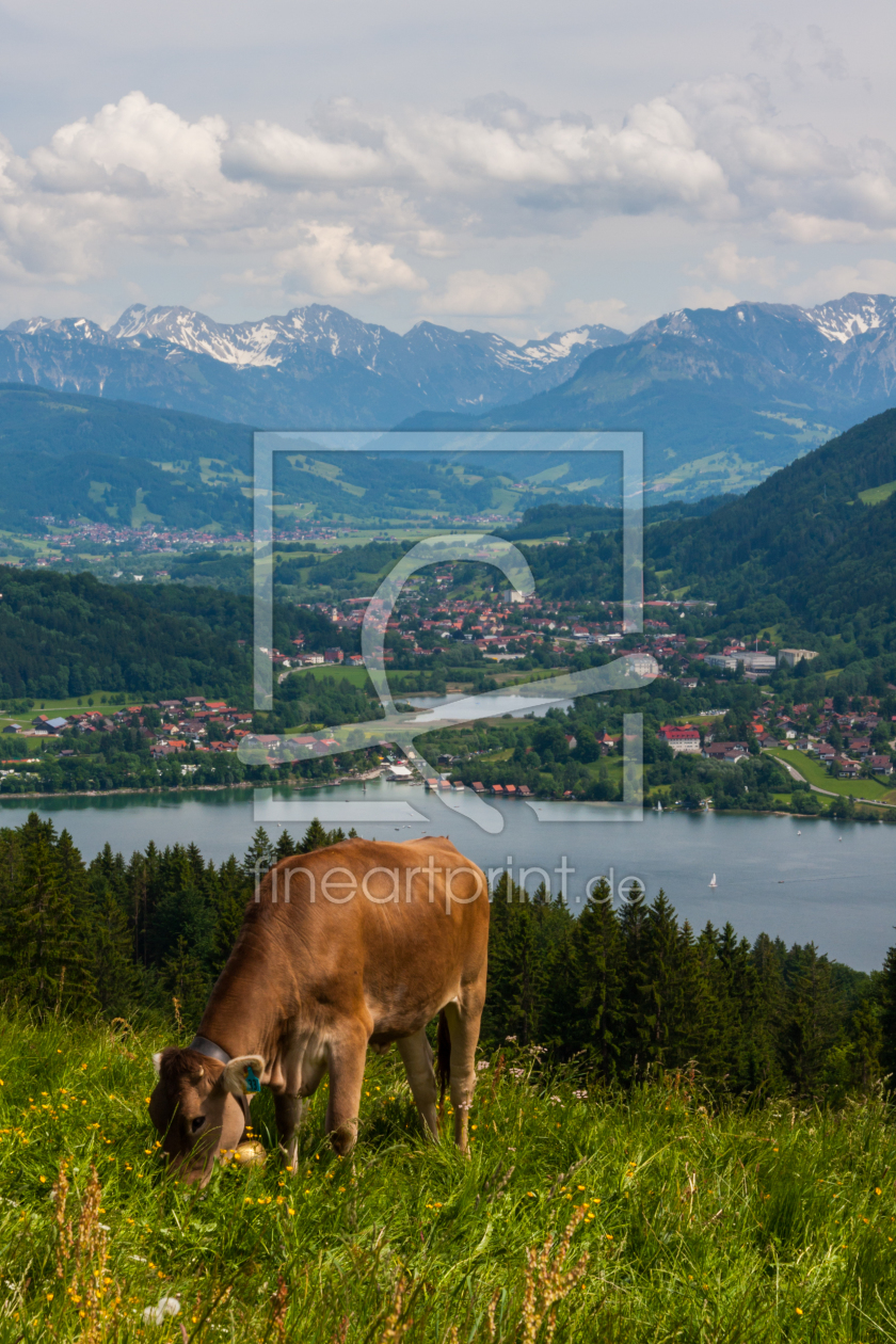 Bild-Nr.: 11142440 Oberallgäuer Aussicht erstellt von TomKli