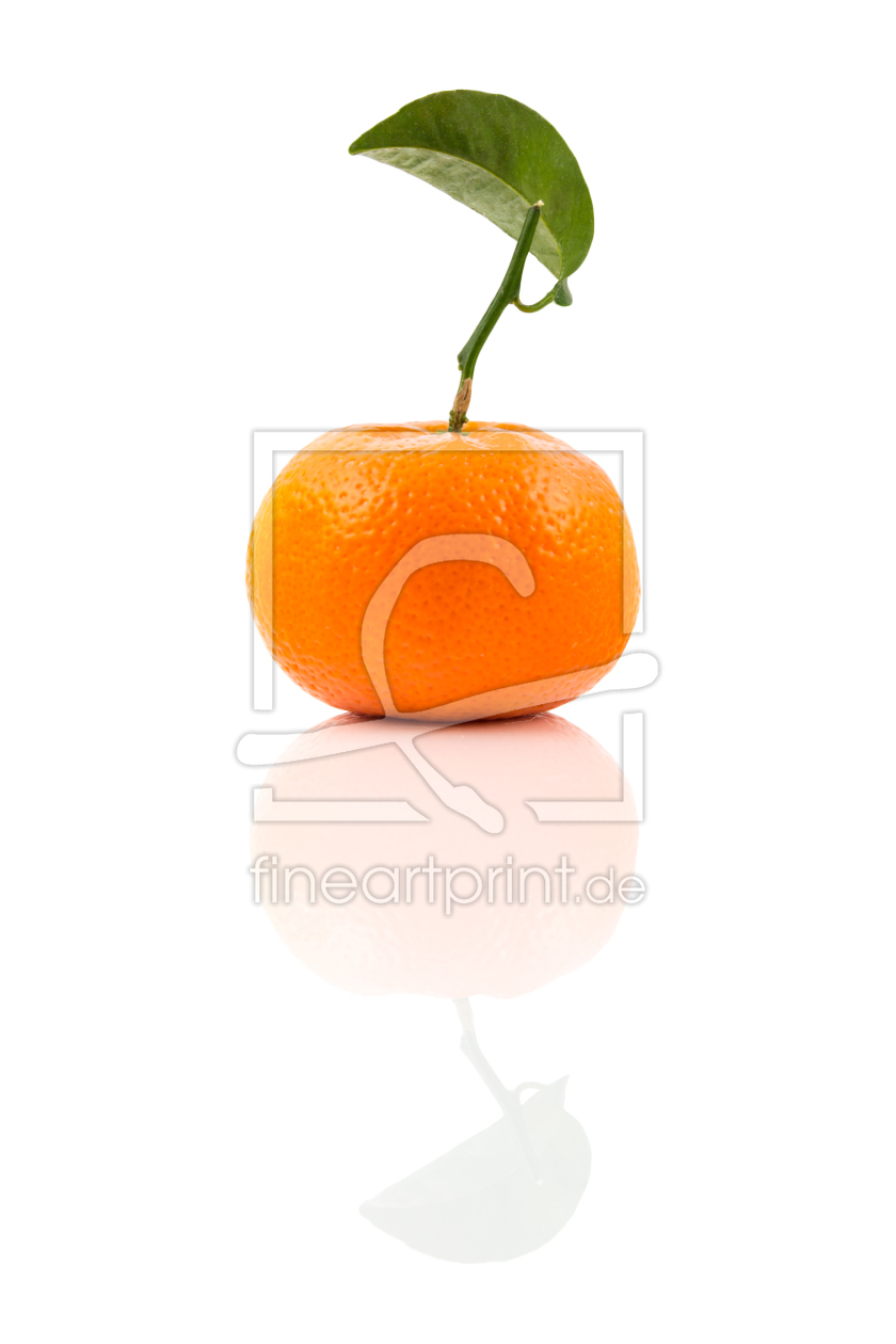 Bild-Nr.: 11144542 mirrored clementine erstellt von ecfpf