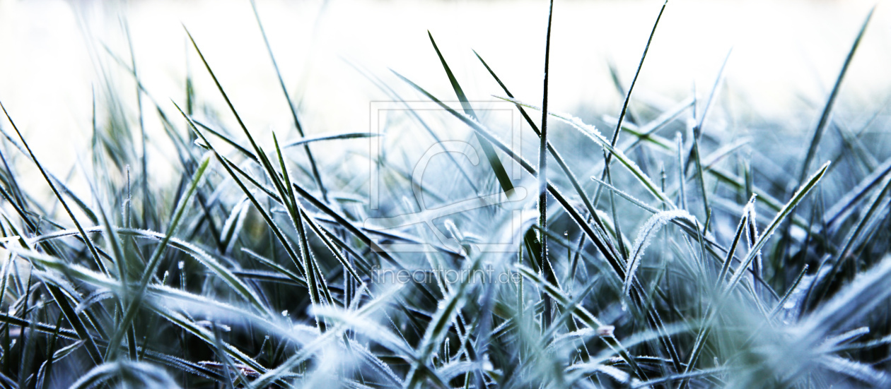 Bild-Nr.: 11144694 Wintermorgen erstellt von Margarita90