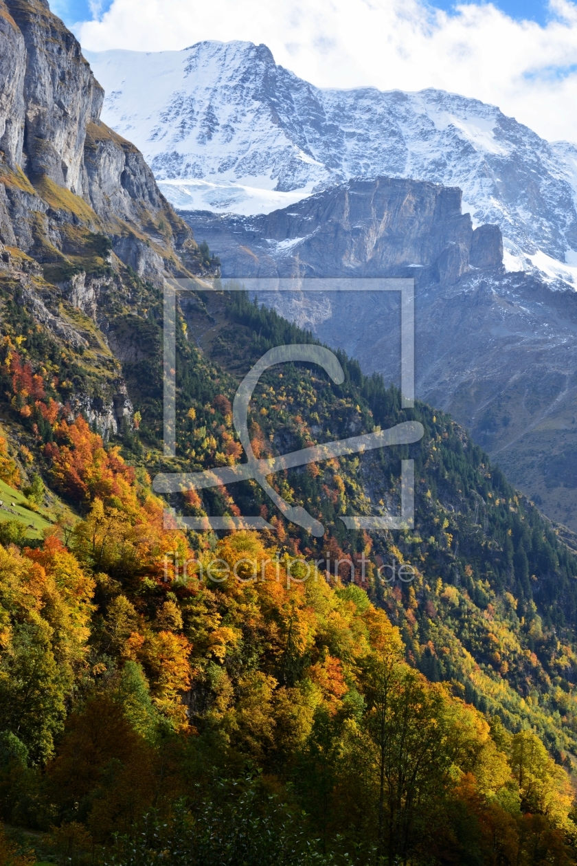 Bild-Nr.: 11148404 alpiner Herbst erstellt von Bettina Schnittert