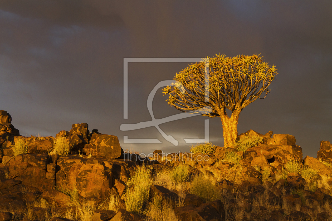 Bild-Nr.: 11151402 Namibian Light erstellt von Vossiem