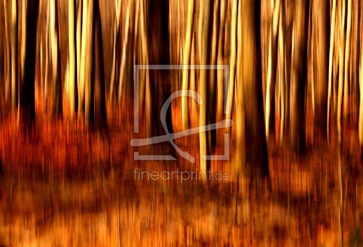 Bild-Nr.: 11151650 Herbstwald abstrakt erstellt von Heike  Hultsch