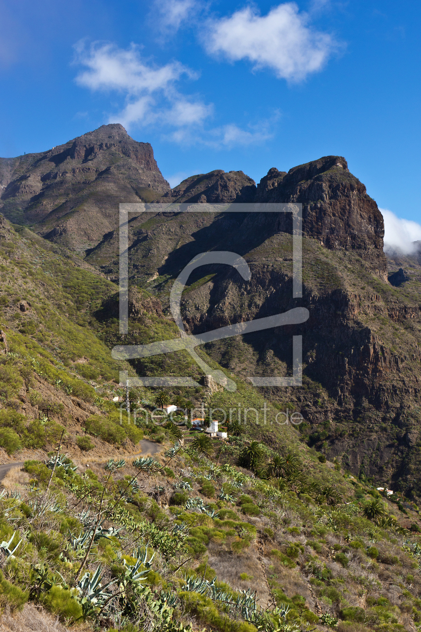 Bild-Nr.: 11153648 Mirador de la Cruz de Hilda - Teneriffa  erstellt von Anja Schäfer