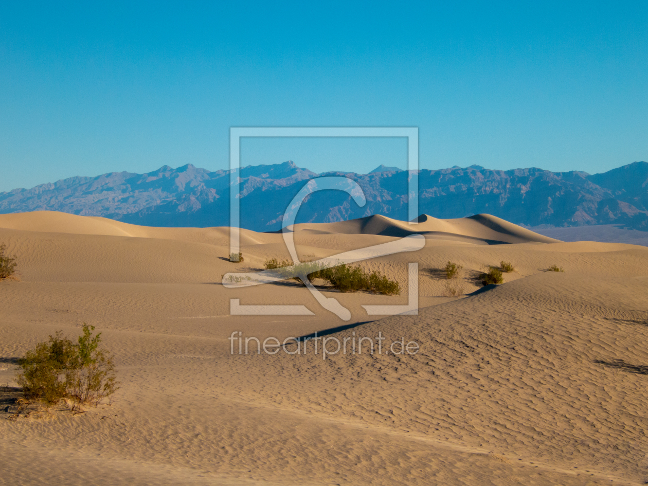 Bild-Nr.: 11154600 Death Valley Dunes erstellt von bambilein