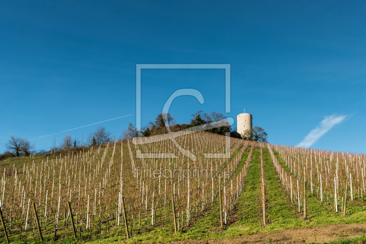 Bild-Nr.: 11155830 Ruine Scharfenstein - Kiedrich 9 erstellt von Erhard Hess