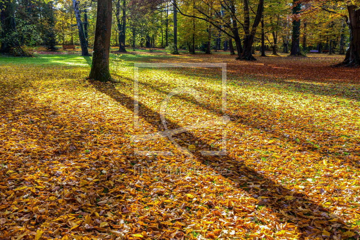 Bild-Nr.: 11157962 Herbst im Park erstellt von TomKli