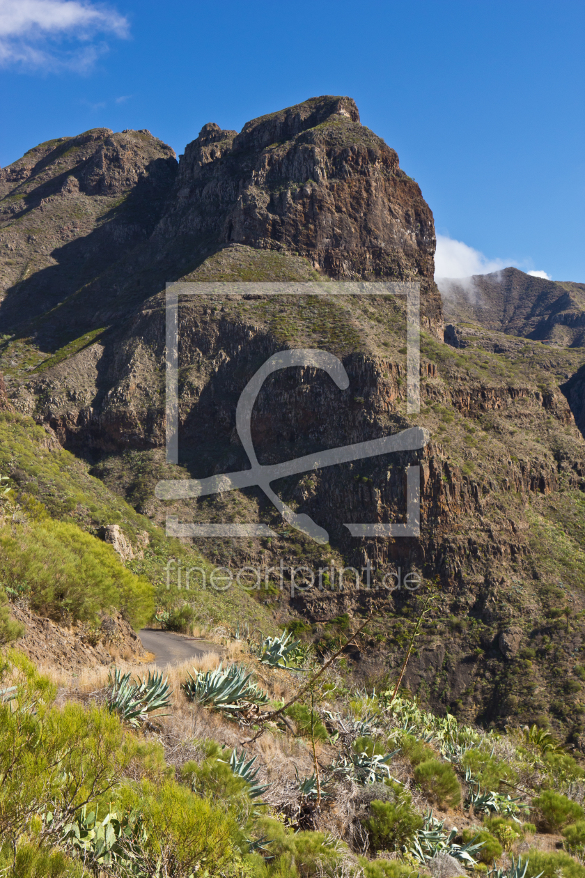 Bild-Nr.: 11165588 Mirador de la Cruz de Hilda - Teneriffa 3 erstellt von Anja Schäfer
