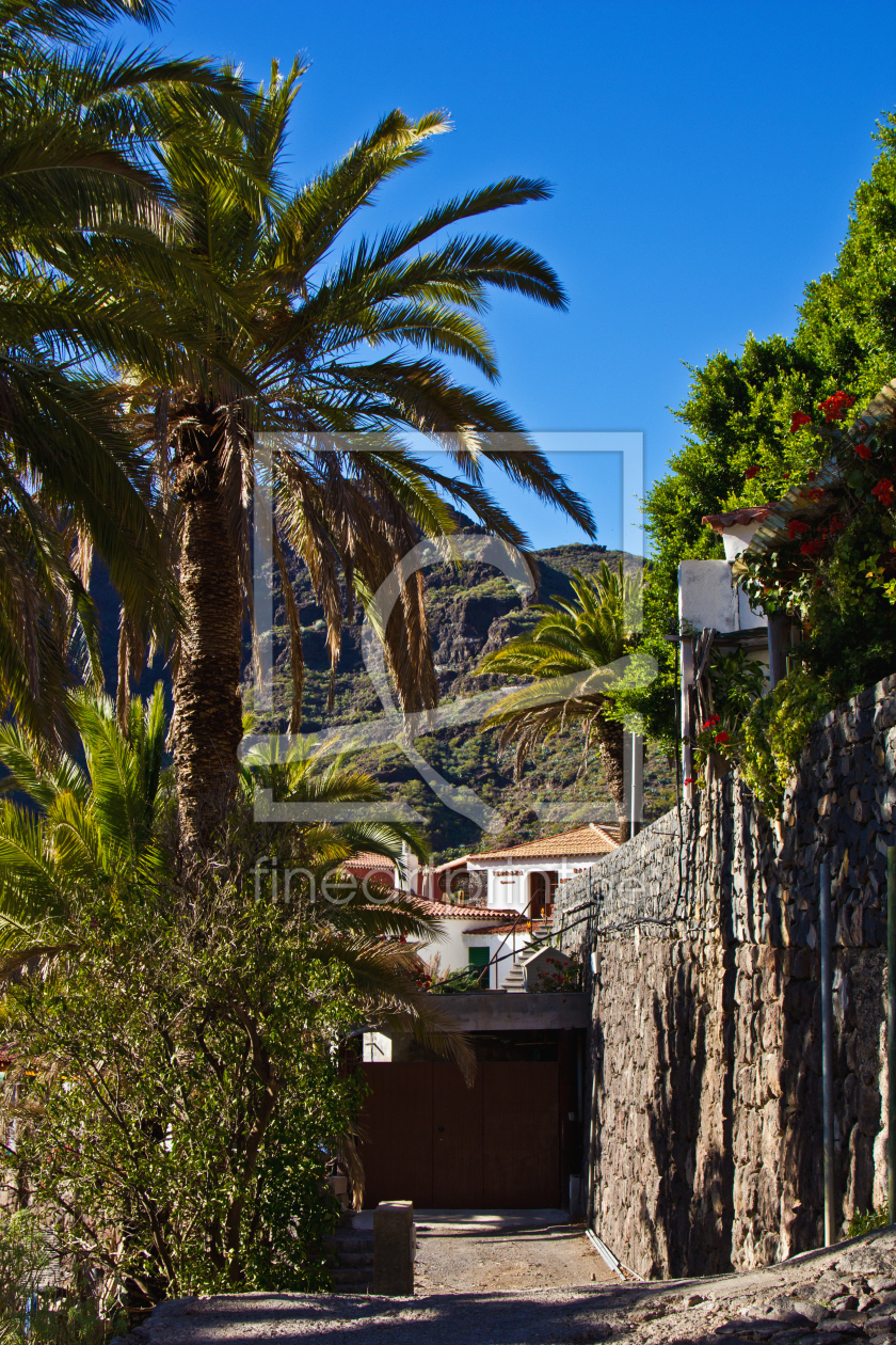 Bild-Nr.: 11165650 Gasse im Bergdorf Masca - Teneriffa  erstellt von Anja Schäfer