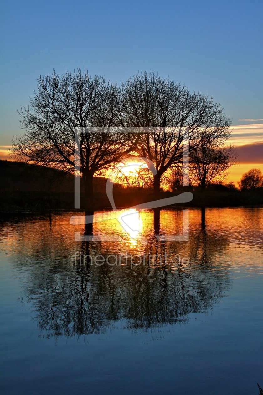 Bild-Nr.: 11167136 Bäume im Sonnenuntergang erstellt von falconer59