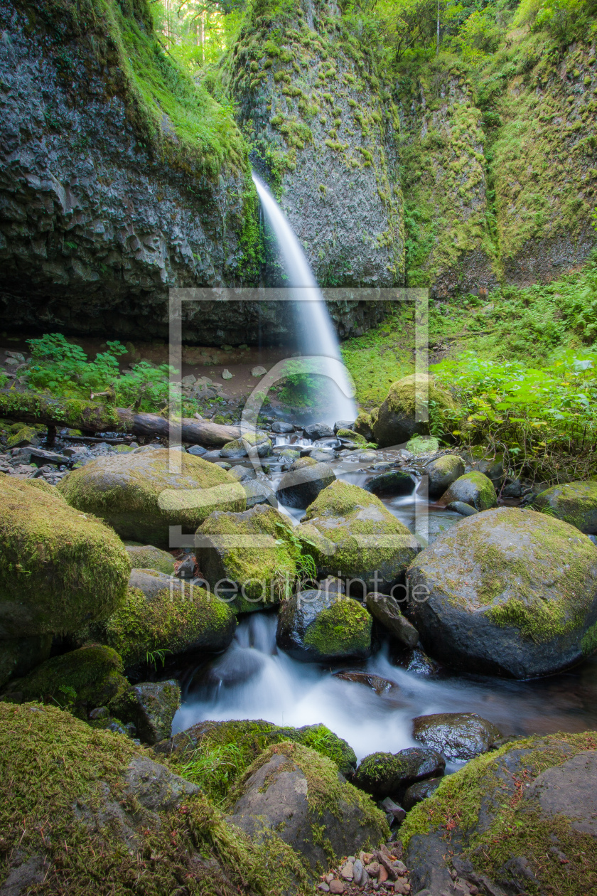 Bild-Nr.: 11172334 Waterfall in Rainforest erstellt von StefanLindlPhotography