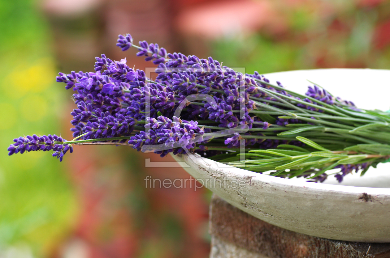 Bild-Nr.: 11174282 Lavendel buntes Sommerbild erstellt von Tanja Riedel