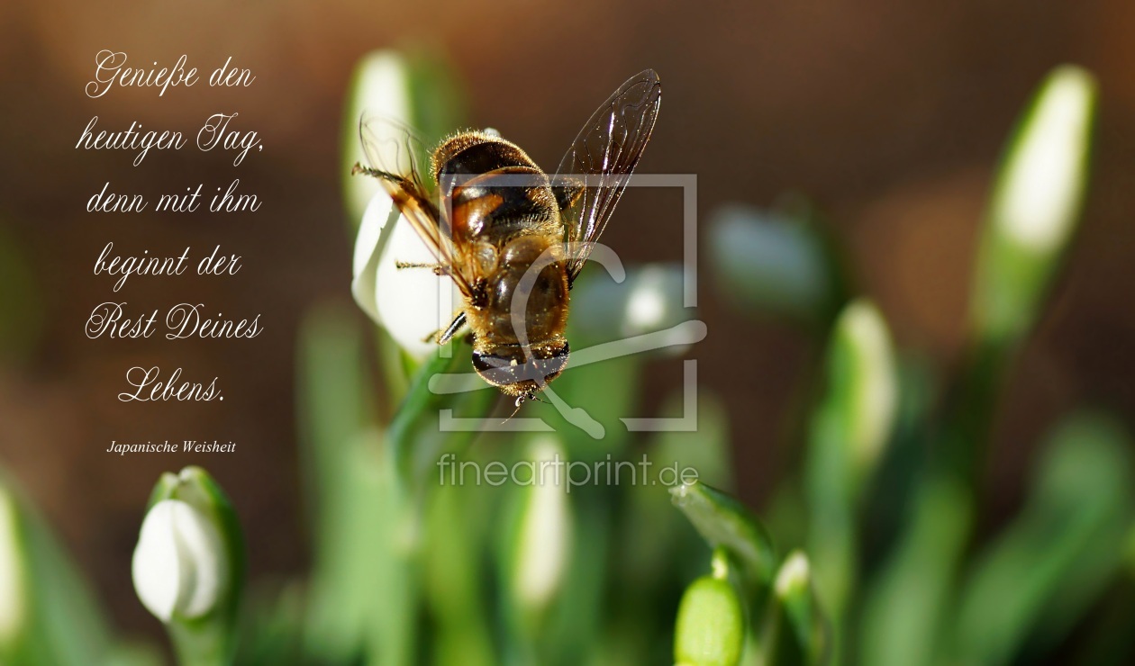 Bild-Nr.: 11174538 Life erstellt von youhaveadream