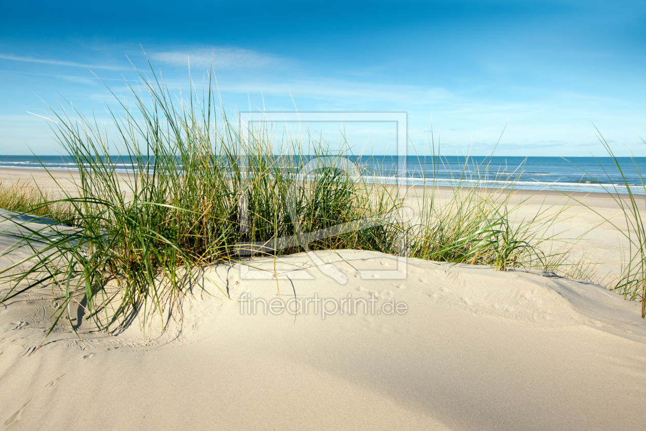 Bild-Nr.: 11176664 Langeoog Idylle erstellt von Reiner Würz