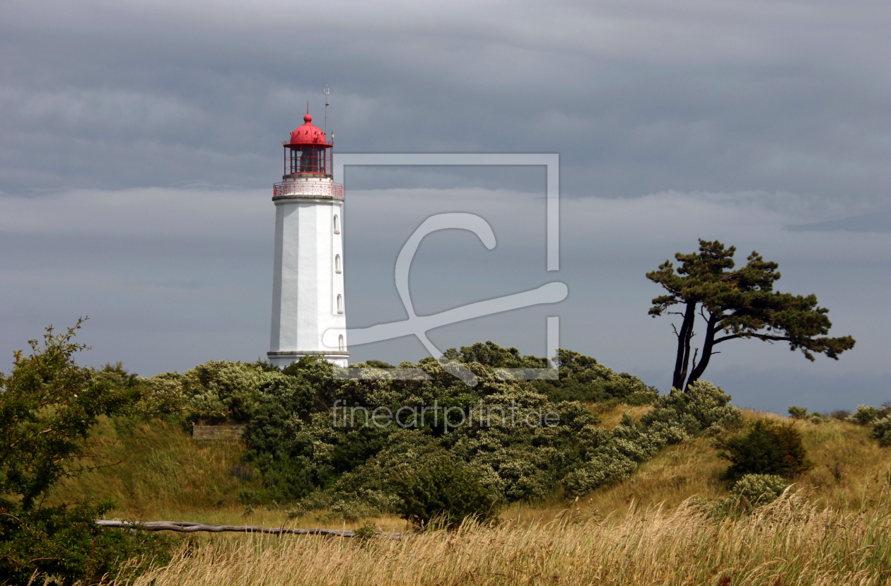 Bild-Nr.: 11177720 Leuchtturm auf Hiddensee erstellt von birdy