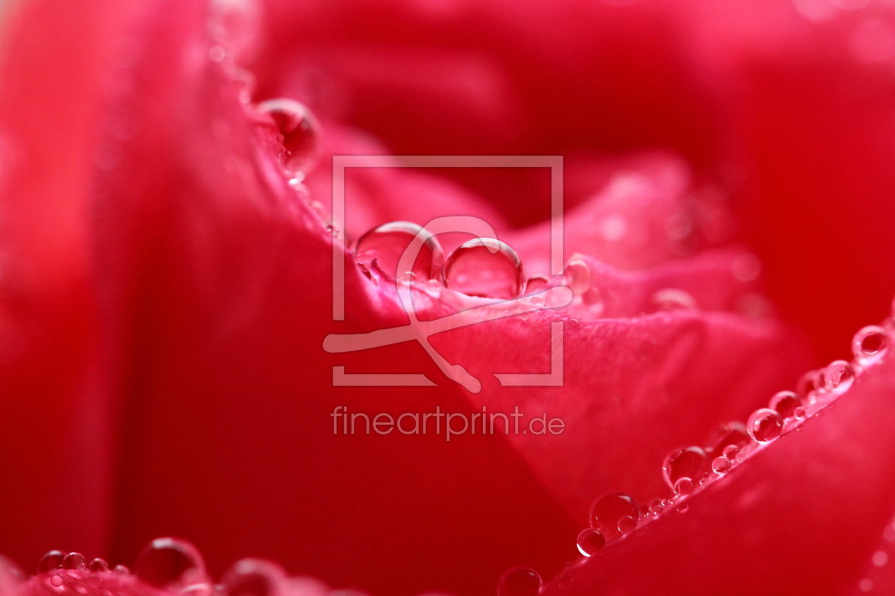 Bild-Nr.: 11177810 red drops erstellt von Heike  Hultsch