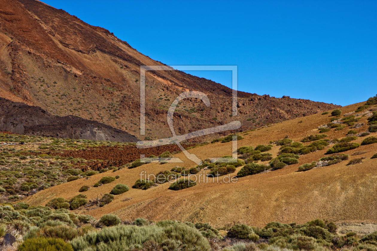 Bild-Nr.: 11180304 Landschaft im Nationalpark Teide 14 erstellt von Anja Schäfer