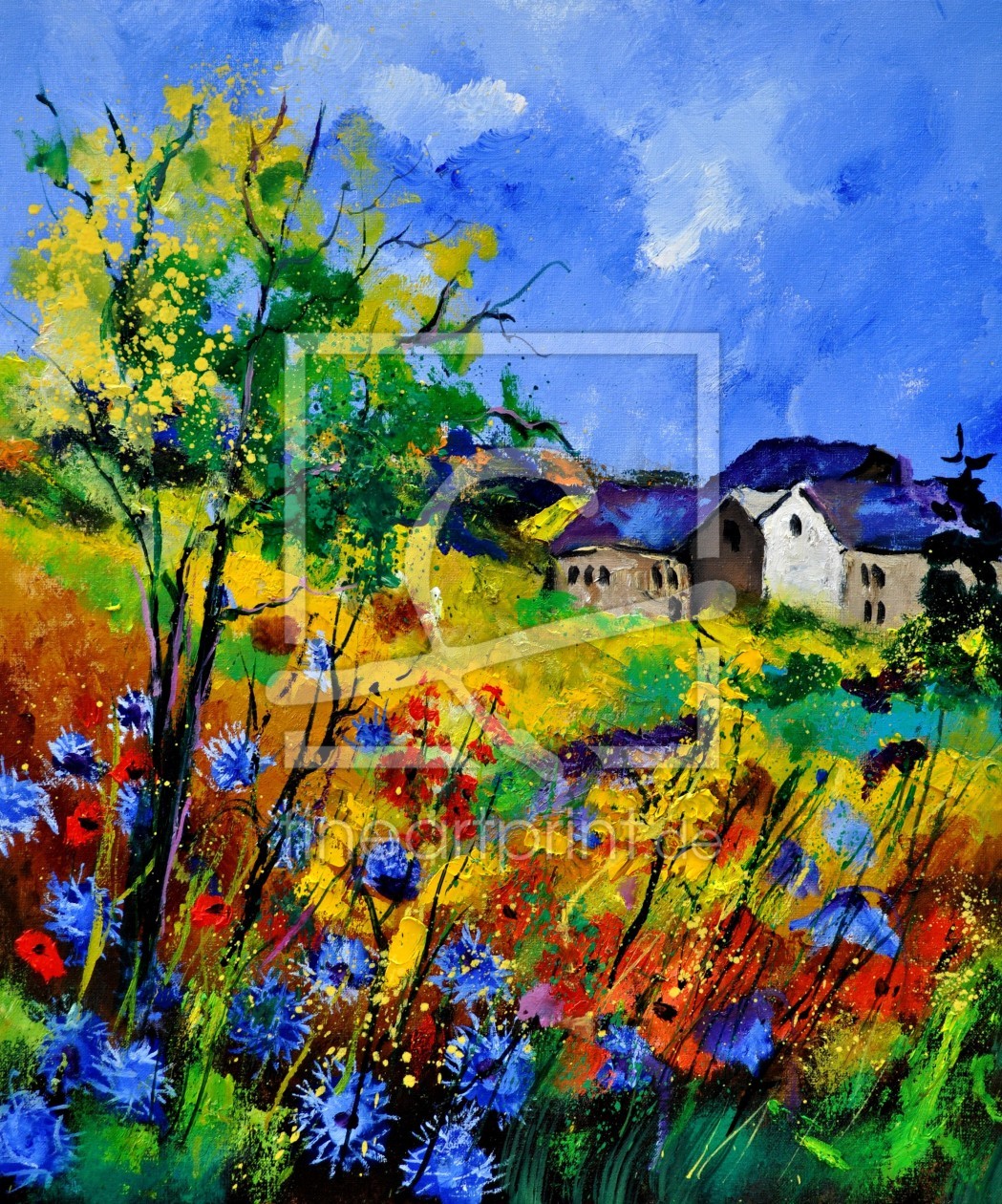 Bild-Nr.: 11181198 summer 673180 erstellt von Pol Ledent