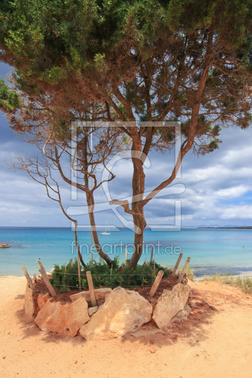 Bild-Nr.: 11182344 Blick auf das Meer erstellt von nicoleblick