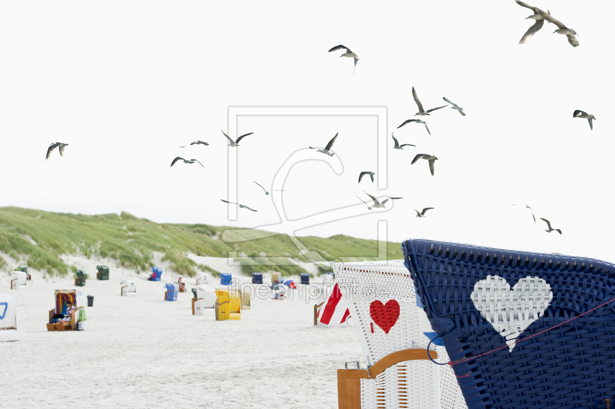 Bild-Nr.: 11185152 Strandkörbe und Möwen erstellt von danielschoenen