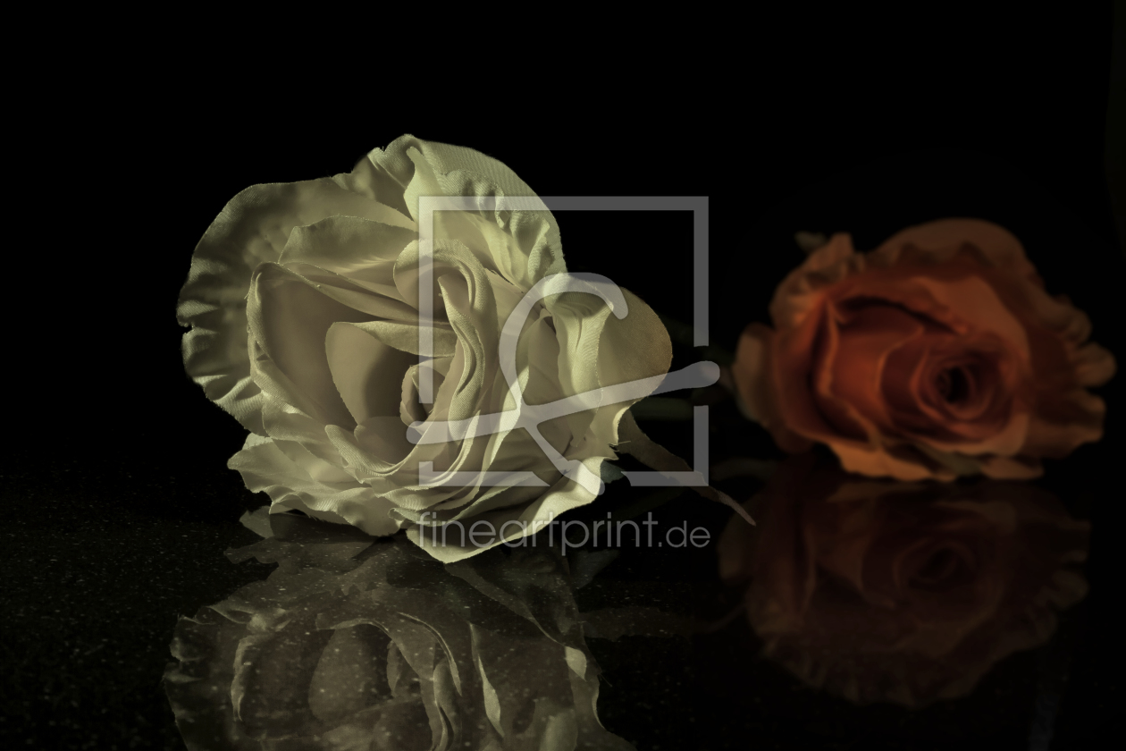 Bild-Nr.: 11187410 Rosen im Spiegel  Seidenblumen erstellt von FotoRaBe