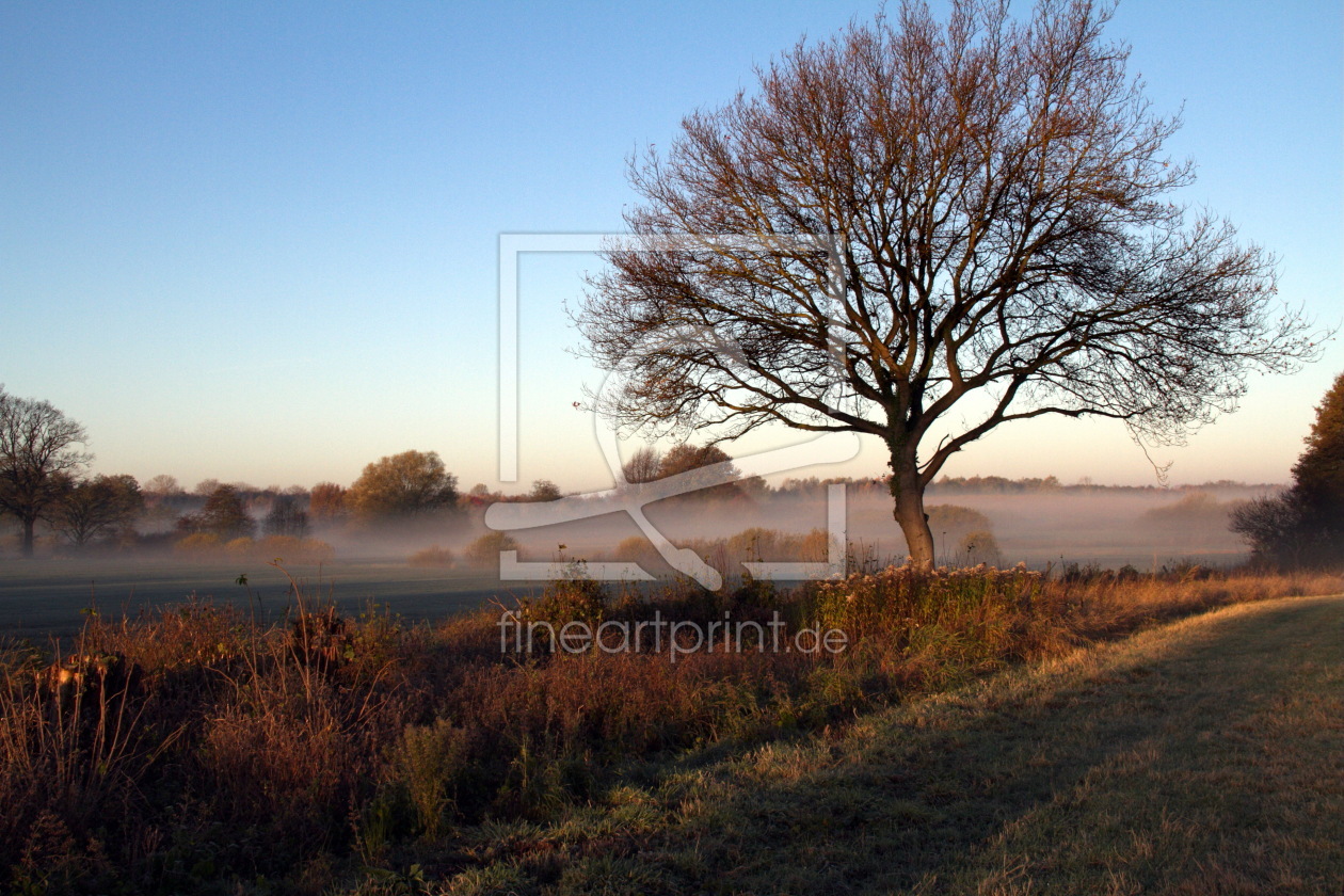 Bild-Nr.: 11188020 Herbstmorgen 02 erstellt von travelandart