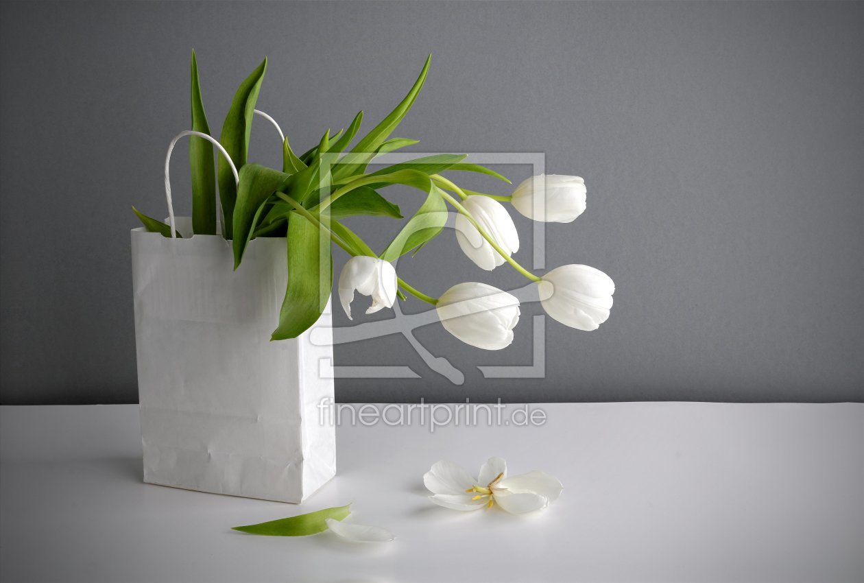 Bild-Nr.: 11191434 fading tulips II erstellt von Rolf Eschbach