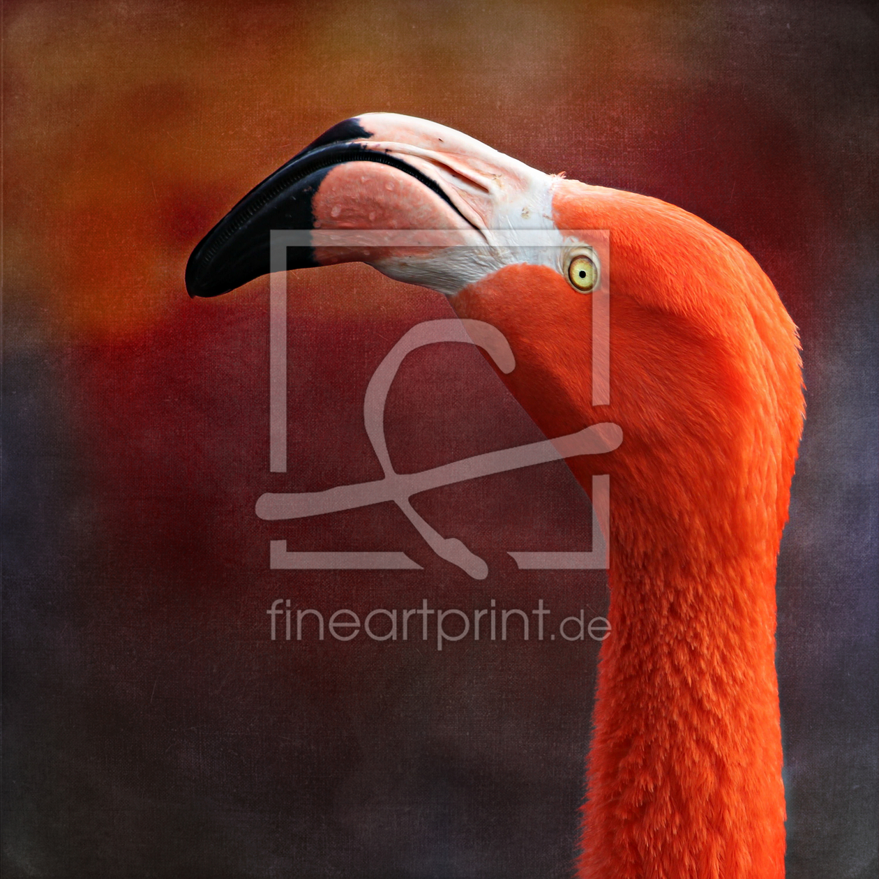Bild-Nr.: 11192644 Flamingo erstellt von Heike Hultsch