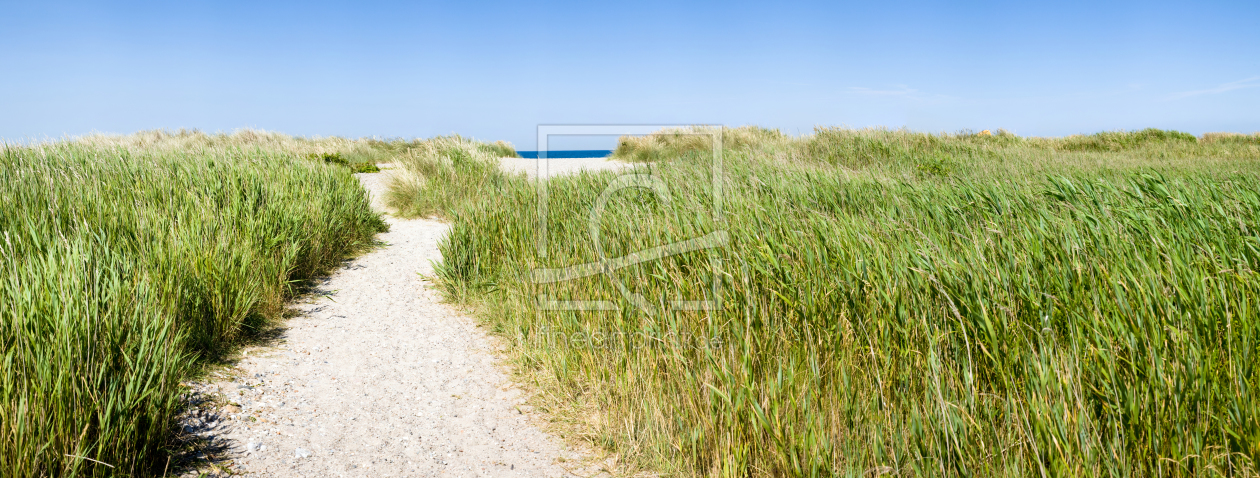 Bild-Nr.: 11196668 Weg zum Strand erstellt von Angelika Stern