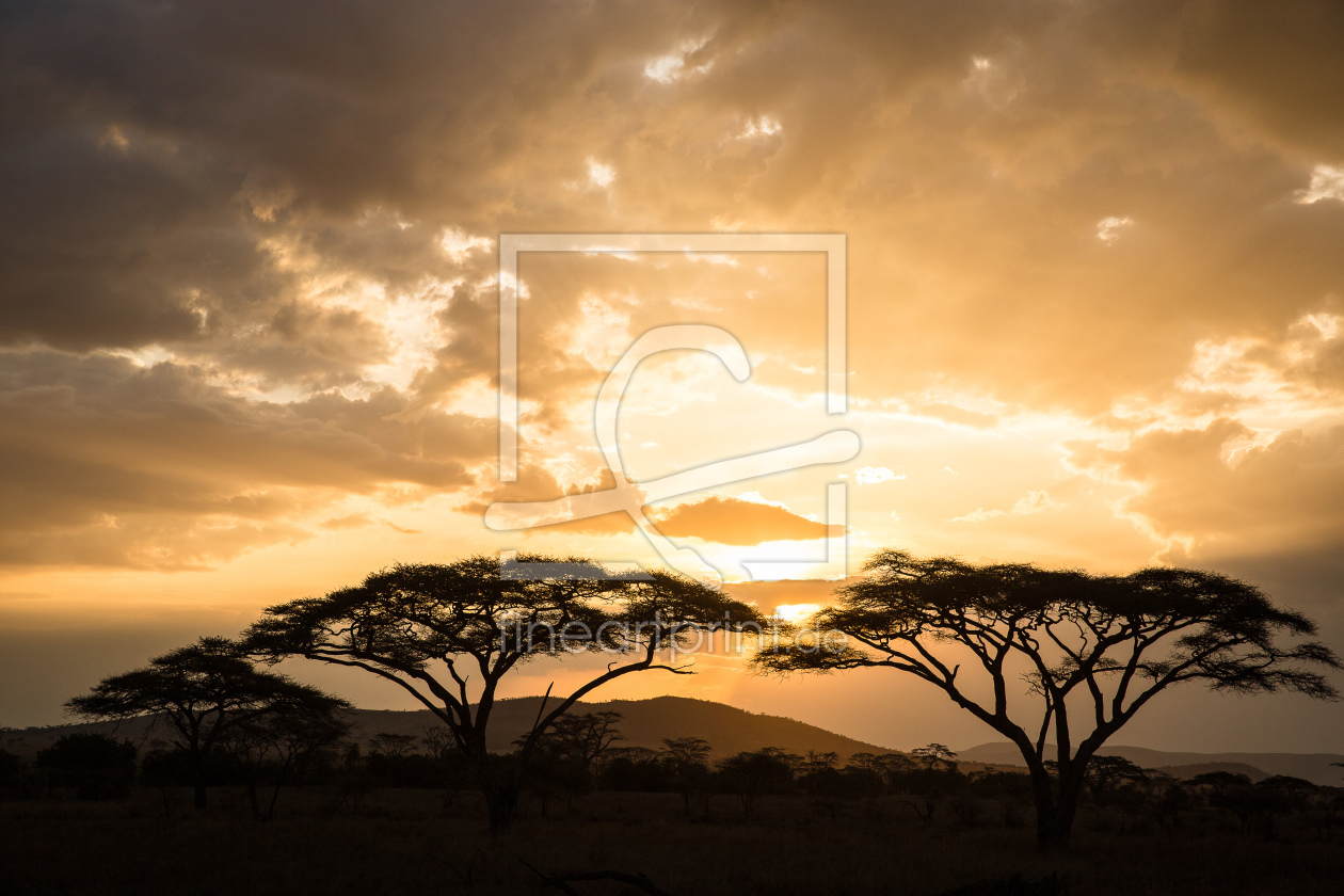 Bild-Nr.: 11198422 Sonnenuntergang im Amboseli NP erstellt von AndreaHergersberg